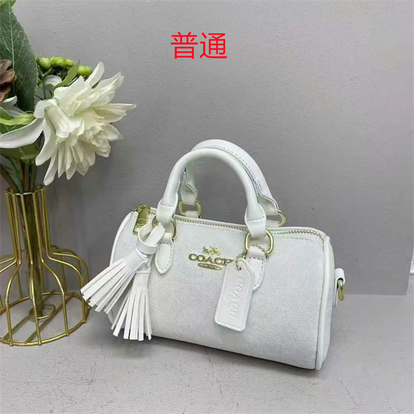 Coach small bag-0856