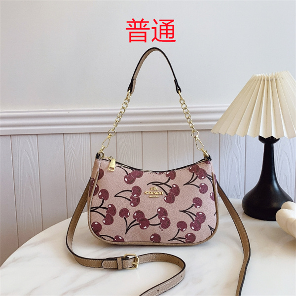 Coach small bag-0863