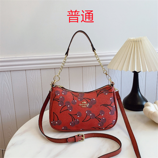 Coach small bag-0865