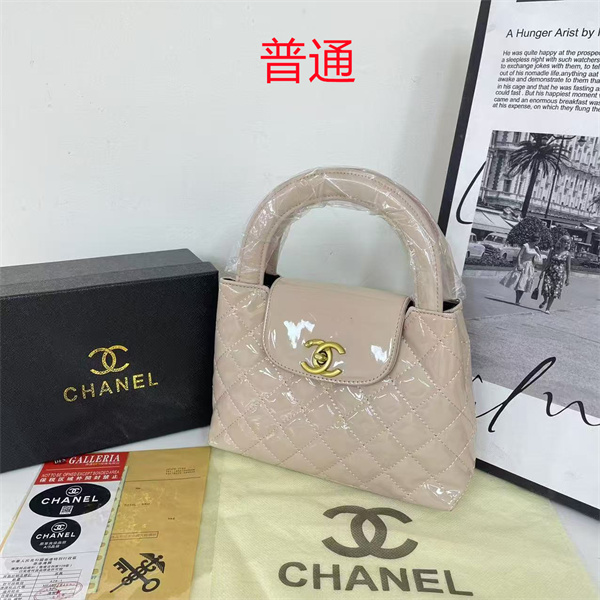 Chanel small bag-0496