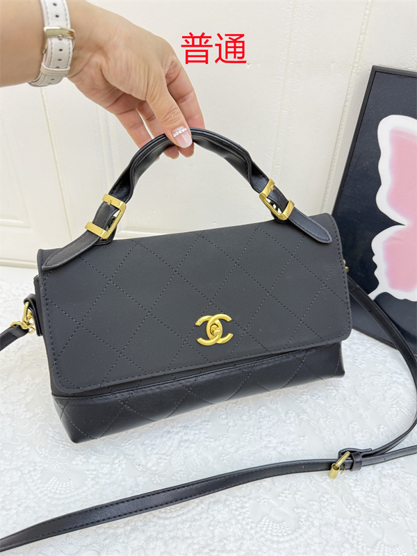 Chanel small bag-0500
