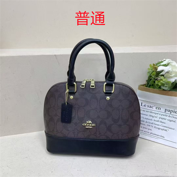 Coach small bag-0870