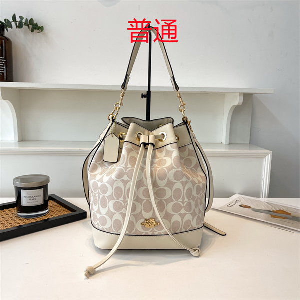 Coach small bag-0874