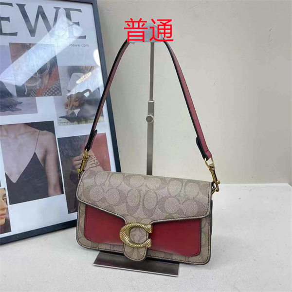 Coach small bag-0887