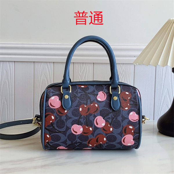 Coach small bag-0894