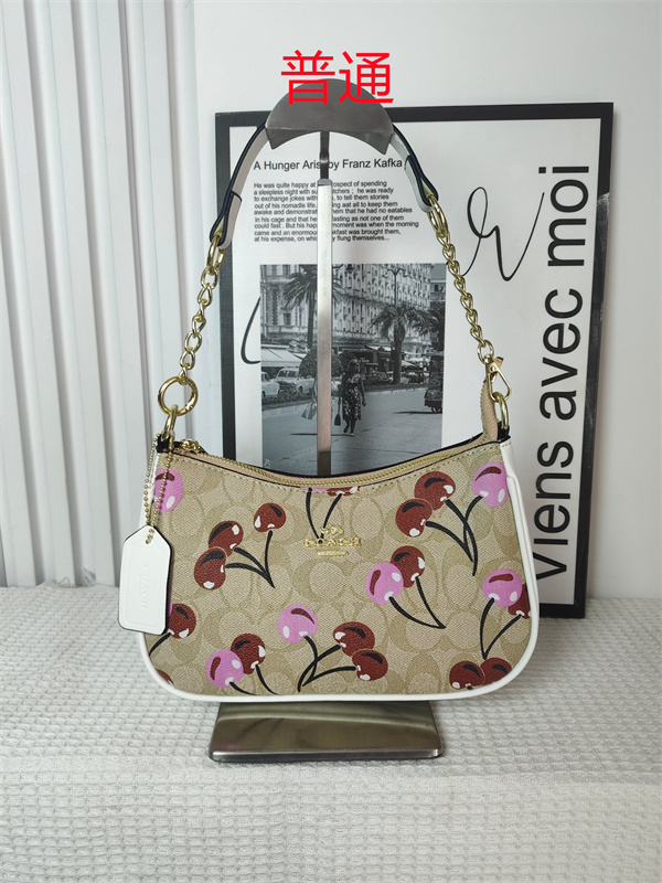 Coach small bag-0917