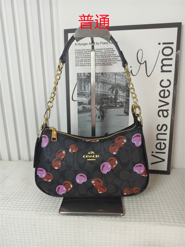 Coach small bag-0918