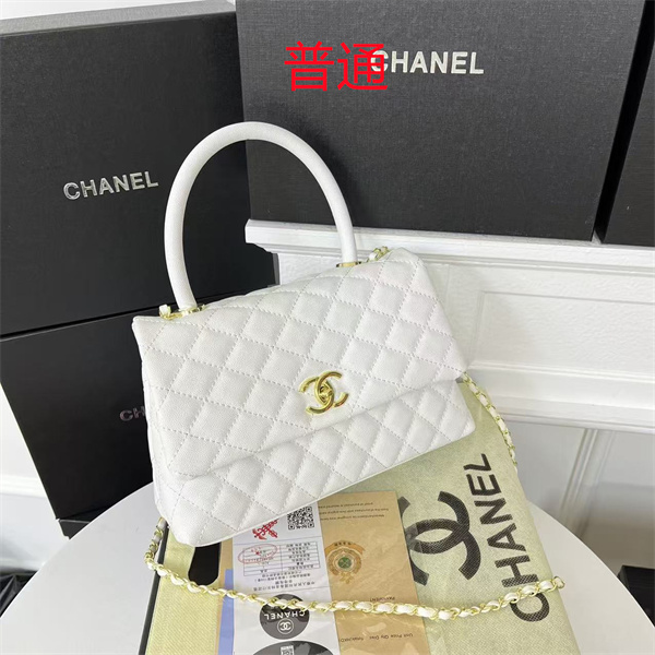 Chanel small bag-0552