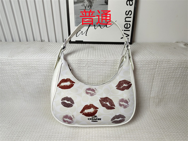 Coach small bag-0932