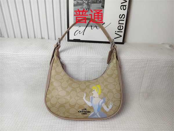 Coach small bag-0934
