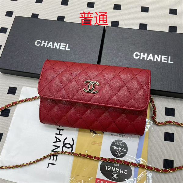 Chanel small bag-0580