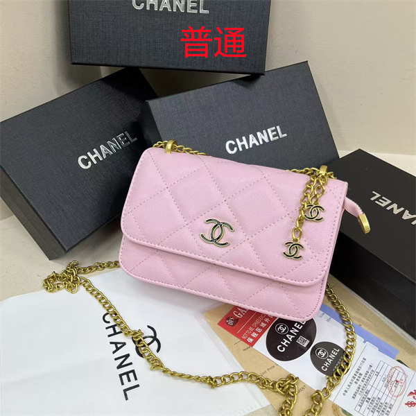 Chanel small bag-0584
