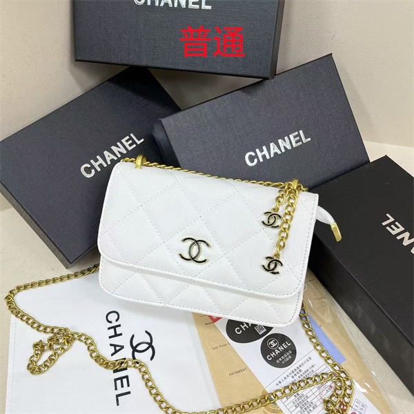 Chanel small bag-0586