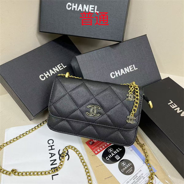 Chanel small bag-0587