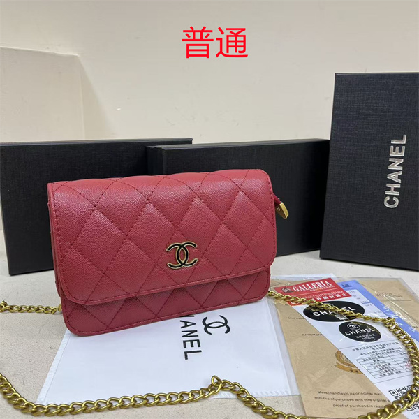 Chanel small bag-0595