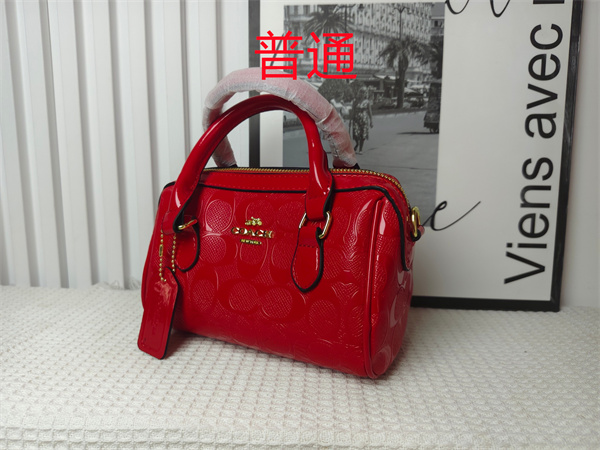 Coach small bag-0971