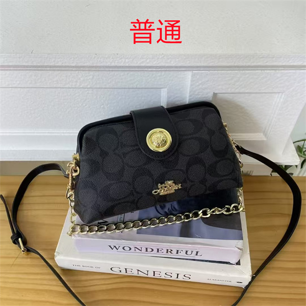 Coach small bag-1046