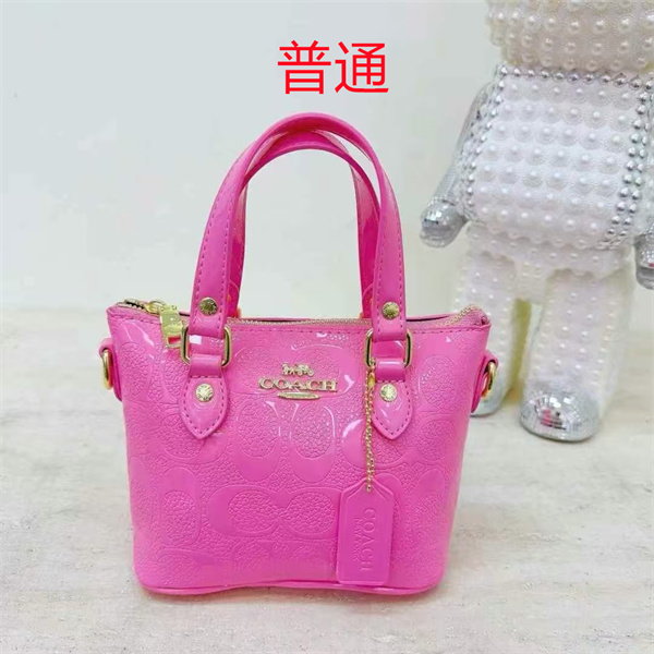 Coach small bag-1060