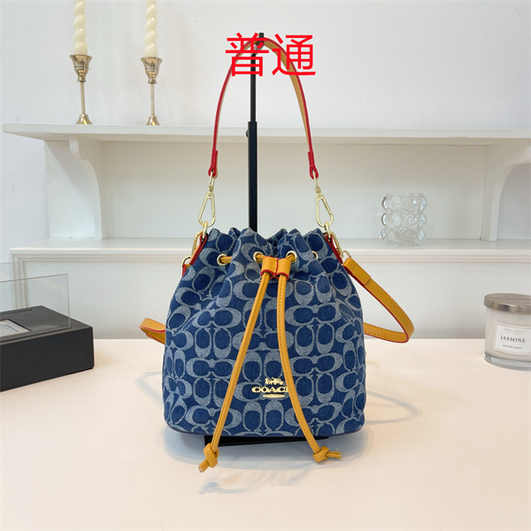 Coach small bag-1073