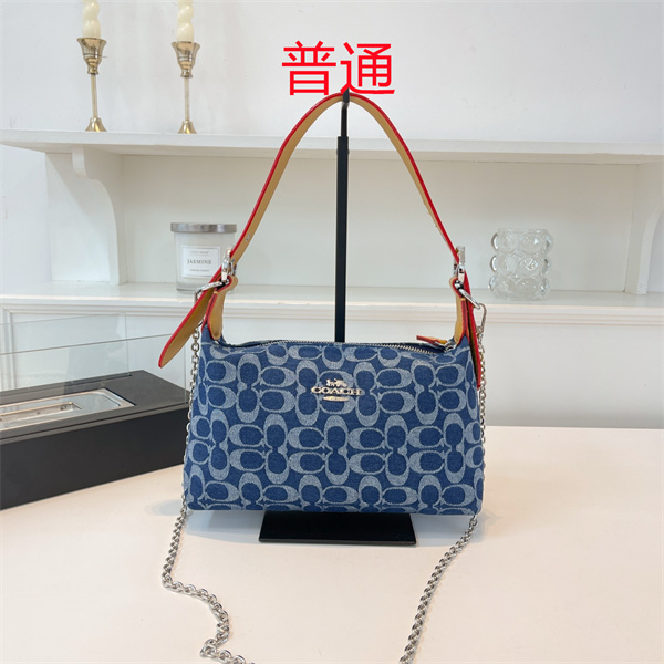 Coach small bag-1076