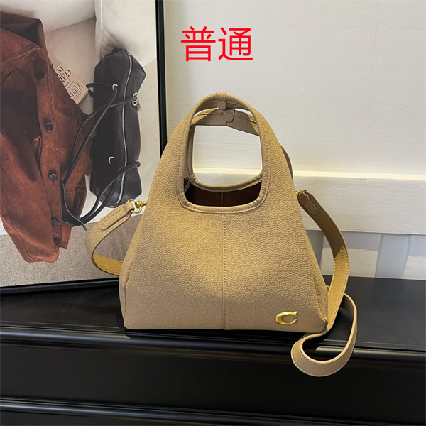 Coach small bag-1077