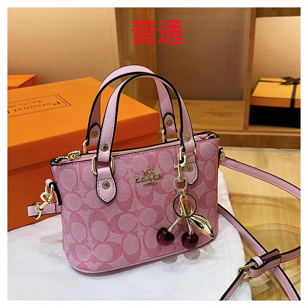 Coach small bag-1145