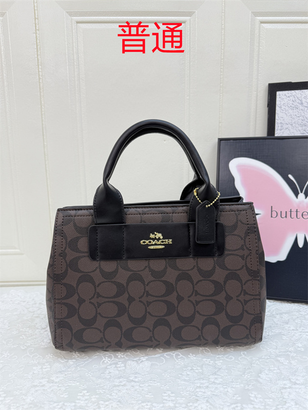 Coach small bag-1244