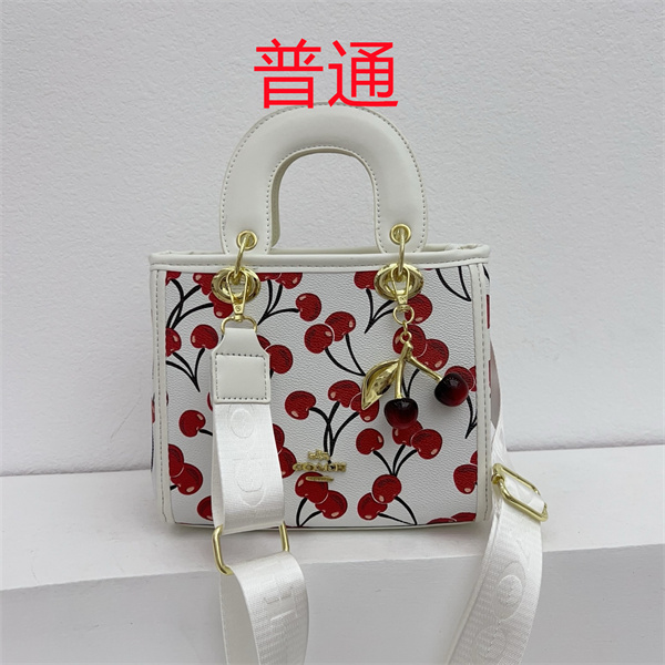 Coach small bag-1267