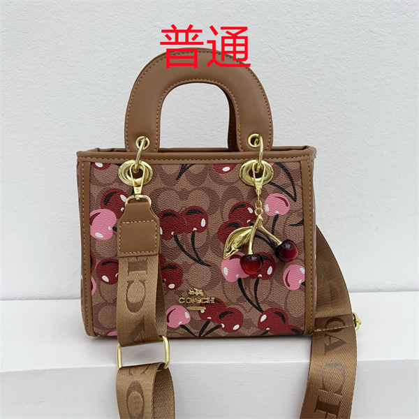 Coach small bag-1268