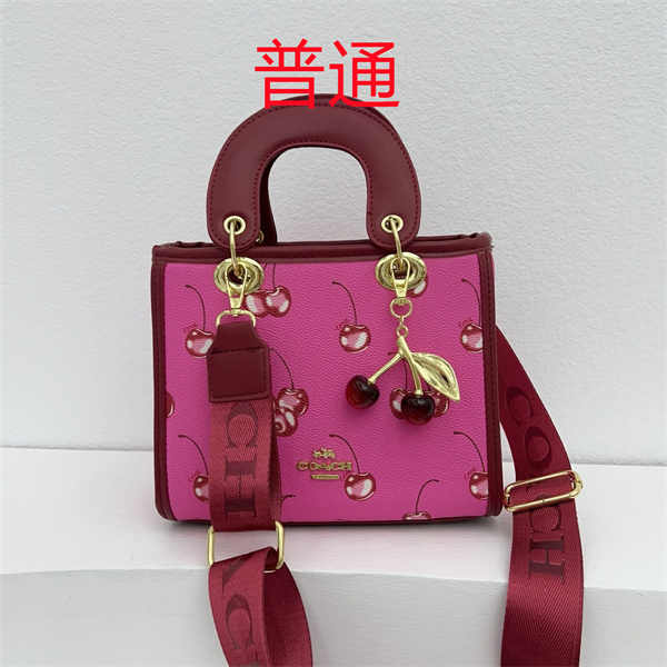 Coach small bag-1270