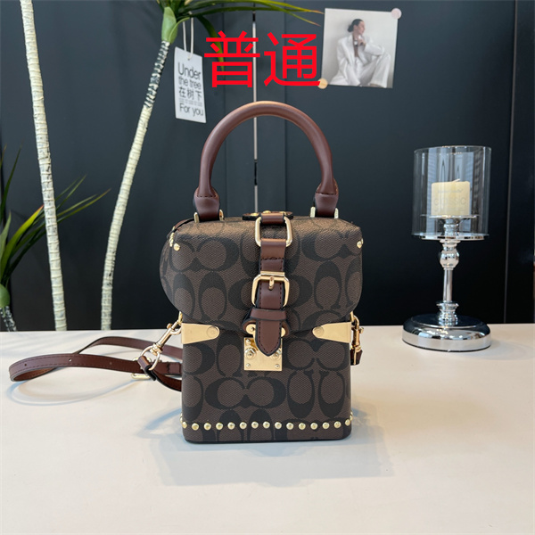 Coach small bag-1303
