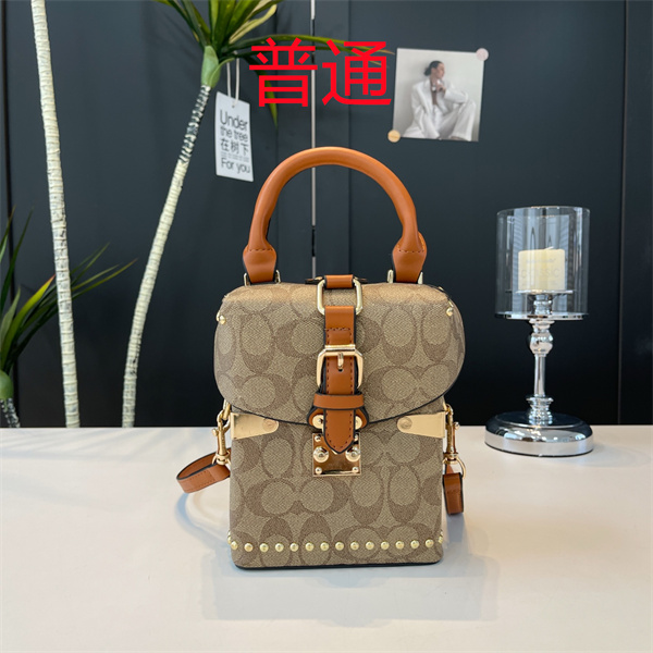 Coach small bag-1305