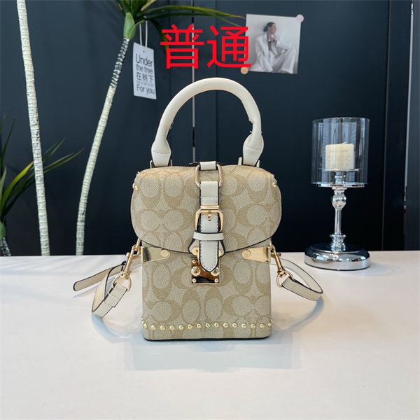 Coach small bag-1306