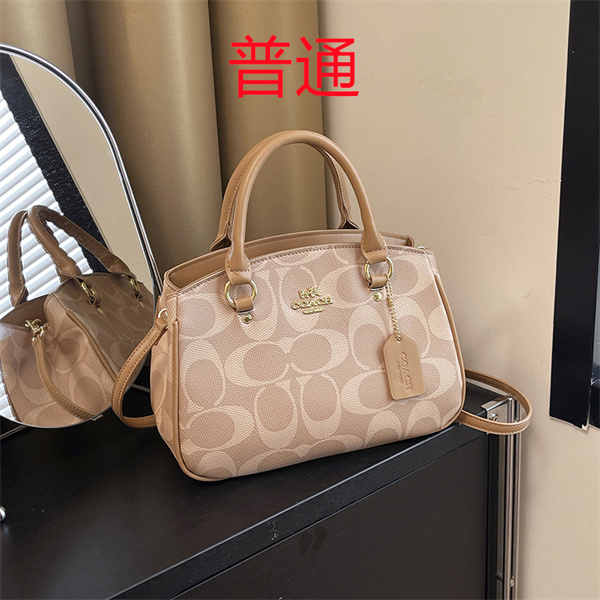 Coach small bag-1334