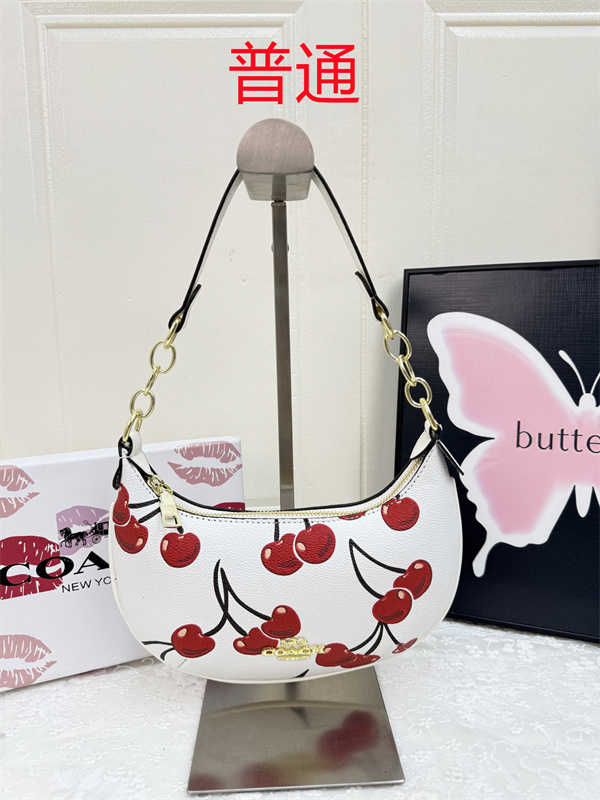 Coach small bag-1431