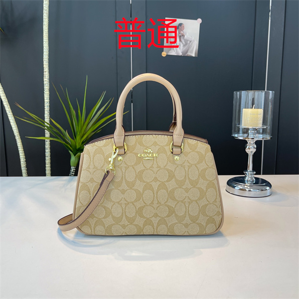 Coach small bag-1479