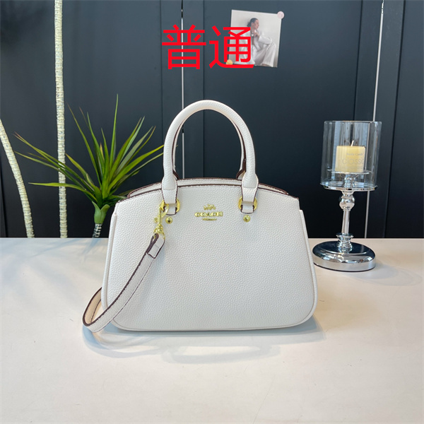 Coach small bag-1480