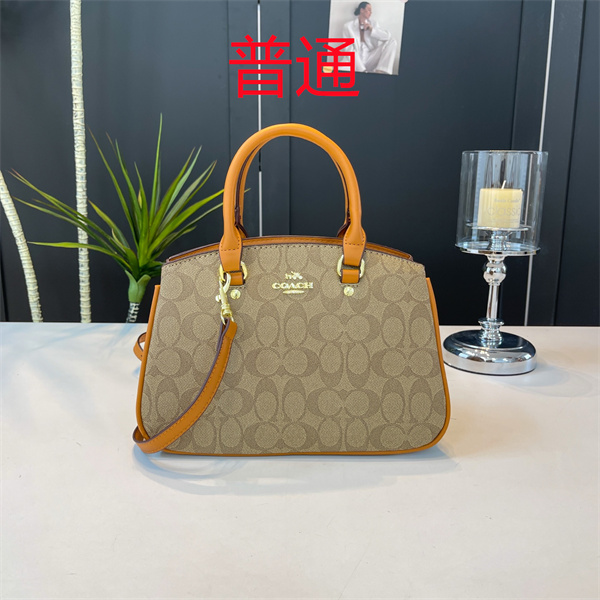 Coach small bag-1482