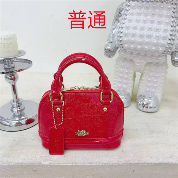 Coach small bag-1485