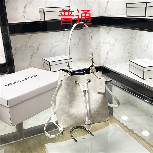 Coach small bag-1491