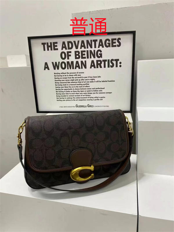 Coach small bag-1587