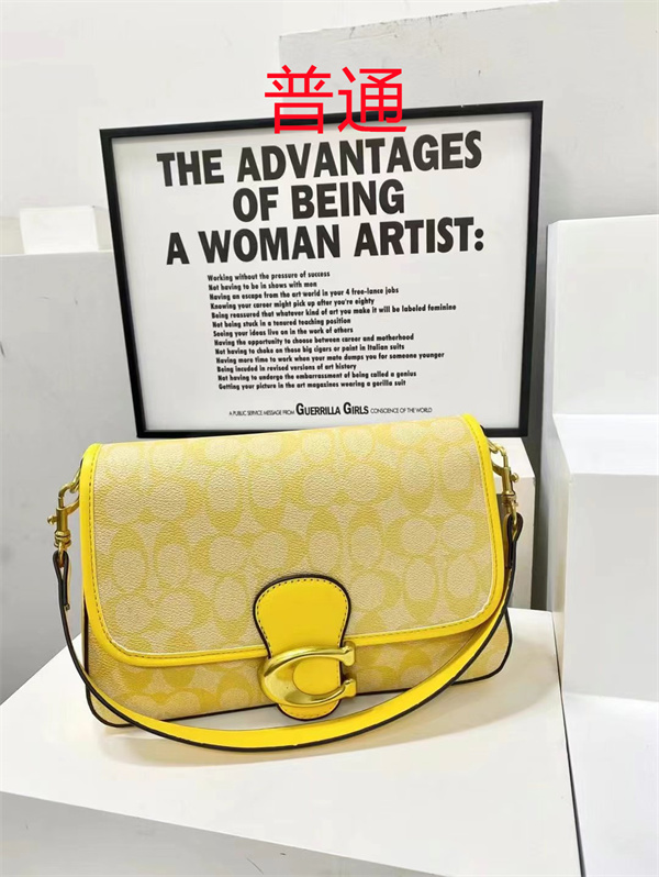 Coach small bag-1589