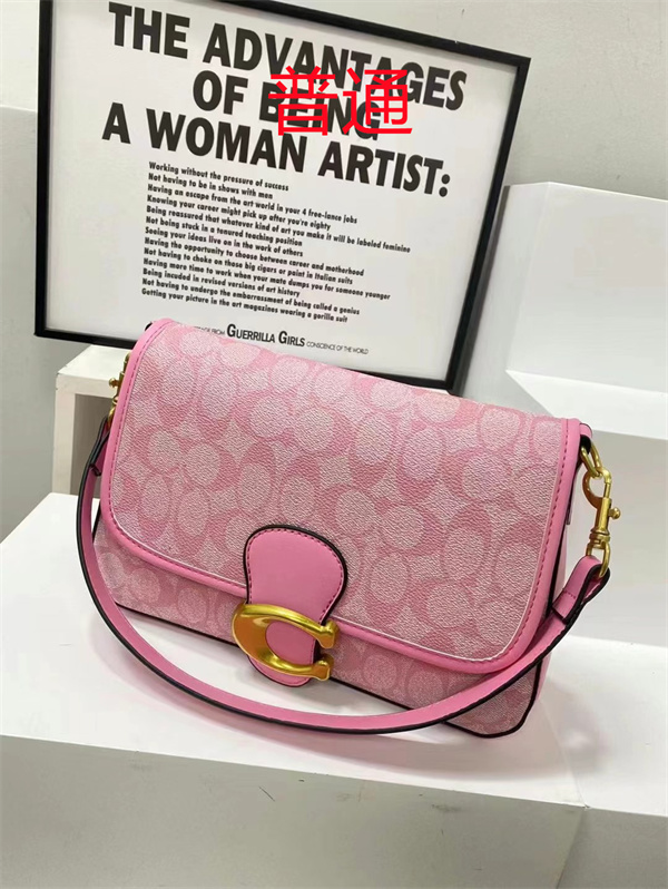 Coach small bag-1593