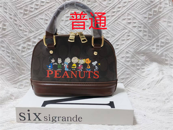 Coach small bag-1617