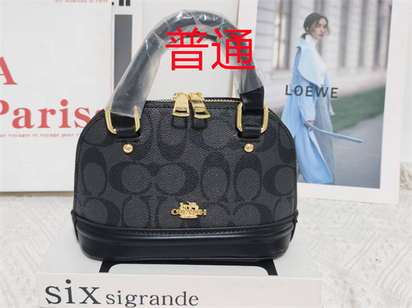Coach small bag-1622
