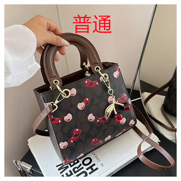 Coach small bag-1634