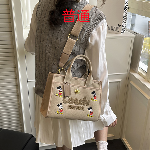 Coach small bag-1682