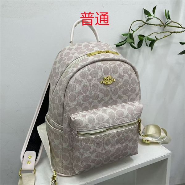Coach small bag-1713