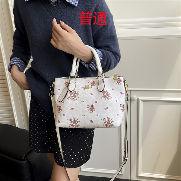 Coach small bag-1813