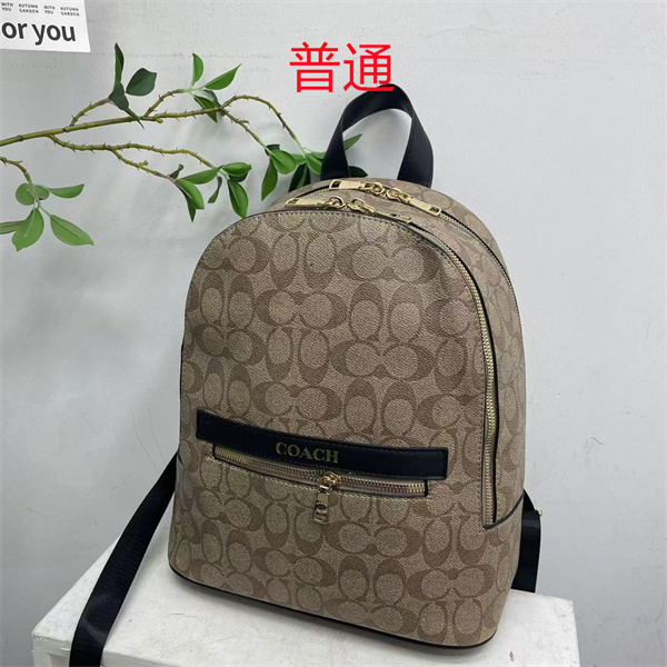 Coach small bag-1724